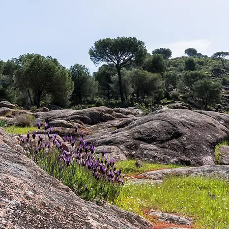 Casa Jardines Del 度假居 科爾多瓦