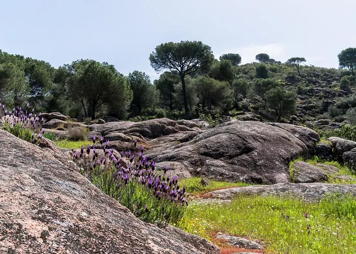Casa Jardines Del Tatil Evi Cordoba